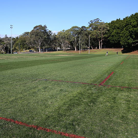 Leichhardt Oval no 2 rugby pitch